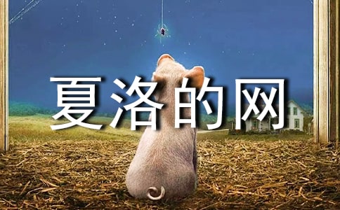 《夏洛的网》观后感(通用22篇)