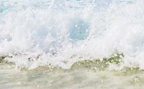 ��16�����졷����̨��152��