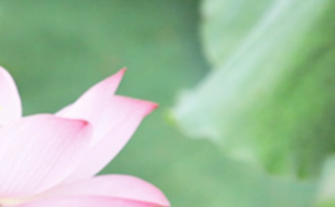 夏至的语录