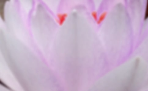 夏至未至读后感1000字