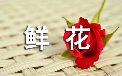 买了一束鲜花心情好说说