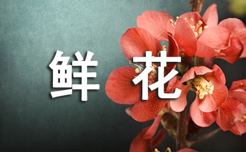 发表鲜花的说说