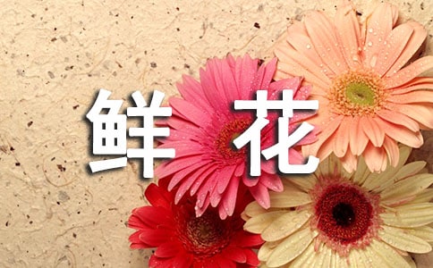�յ��ʻ�������˵˵
