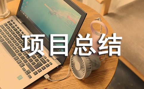 年终项目总结会发言稿