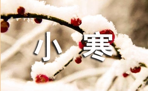 С��������˵˵����ѡ120�䣩