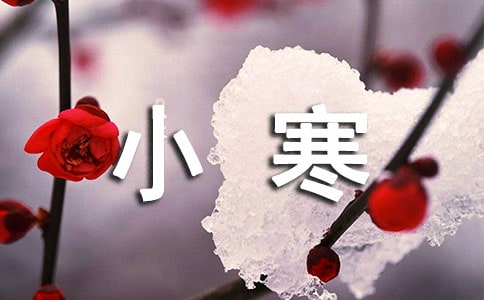 小寒说说句子汇总50句