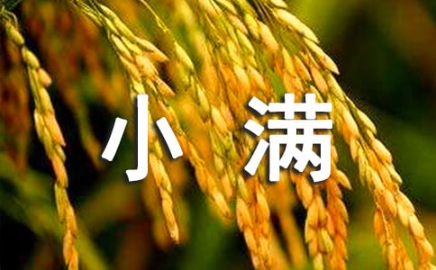 小满的说说