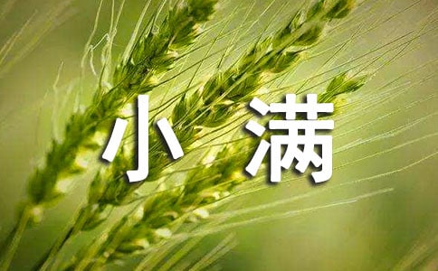 С����˵˵