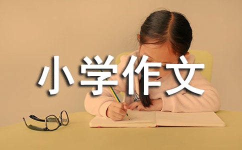 《三国演义》读后感小学作文