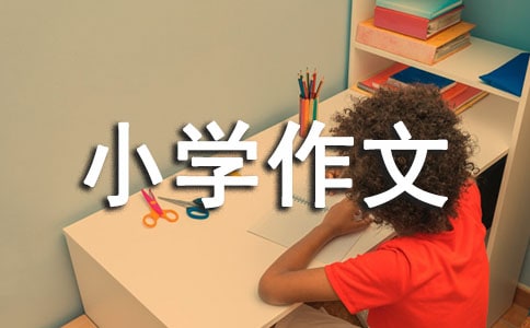 三国演义读后感400小学作文