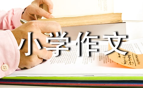 水浒传读后感-小学作文
