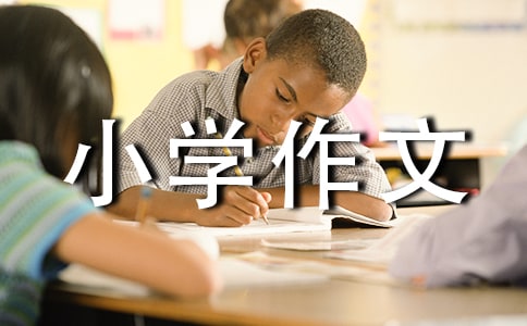 成语接龙小学作文合集7篇