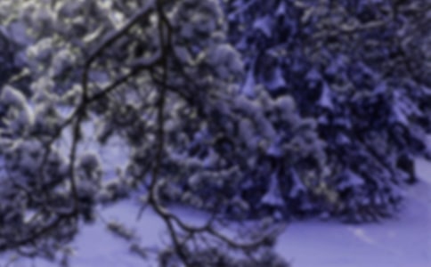 浅谈新课改下小雪数学的“有效教学”