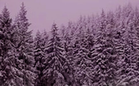 小雪节气关心说说