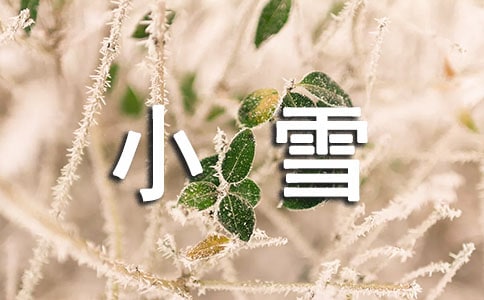 最新小雪节气的关心语录范文通用