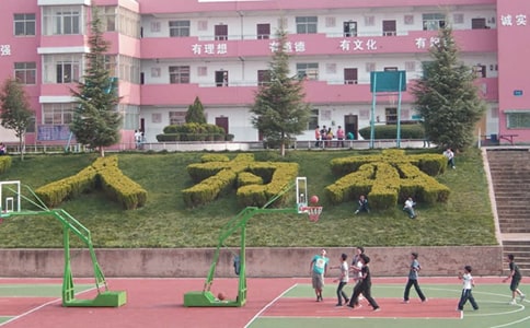 毕业季唯美校园图片