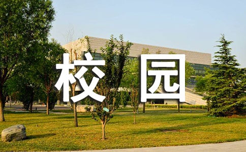 中小学安全校园活动总结