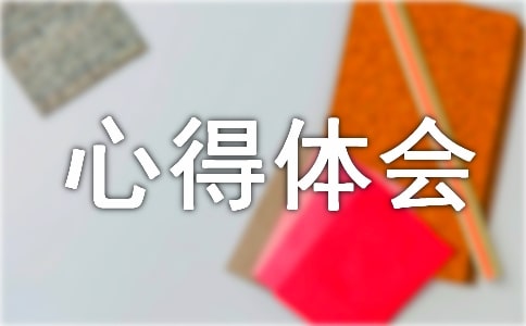 (集合)综合实践心得体会17篇