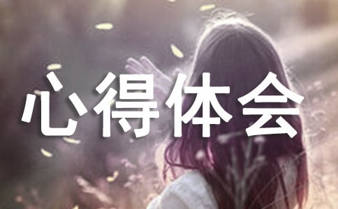 社会实践心得体会