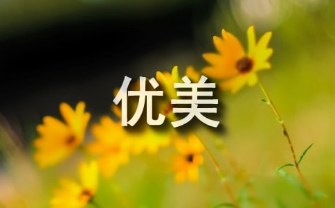 悟道禅意句子优美句子