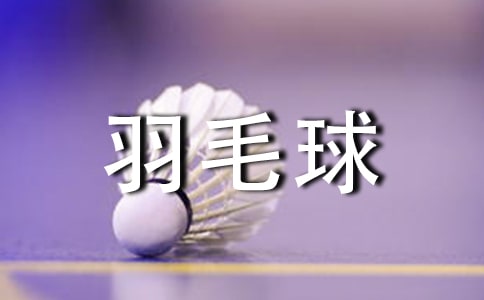 羽毛球比赛活动方案51篇【优秀】