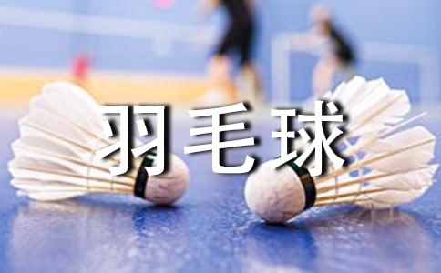 羽毛球工作总结