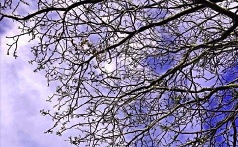 有关温馨早安说说汇总(精选55句)