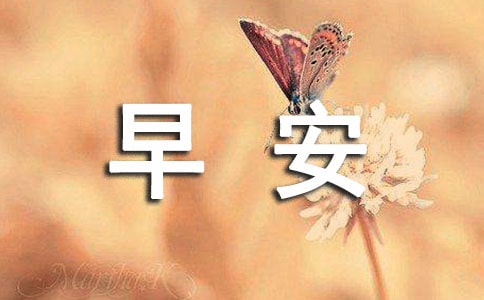 �����������簲���ӻ��89��