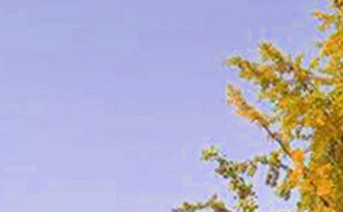�Ƽ�ů���簲˵˵��ȫ��ͨ��190�䣩