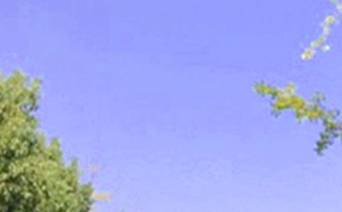 ��ѡ�������簲����ժ¼59��