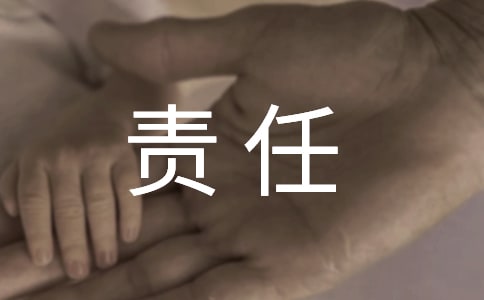 个人用电安全责任书