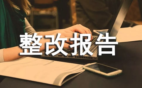 (经典)公共卫生整改报告