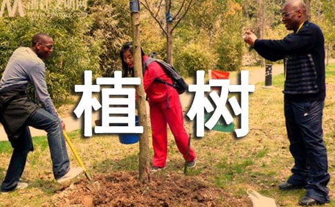 植树活动主题班会教案(精选15篇)