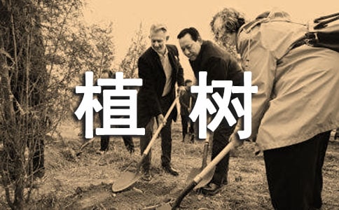 植树的牧羊人观后感3篇