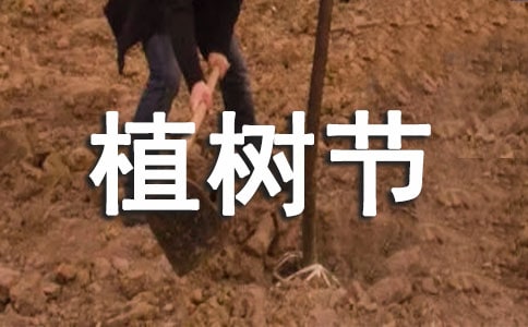 幼儿园植树节活动方案30篇【荐】
