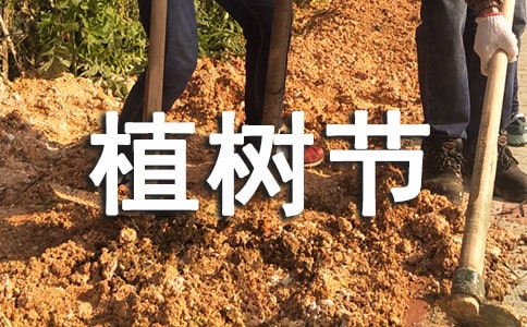 公司植树节活动方案10篇(必备)