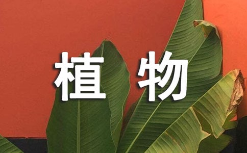 ֲ��۲��ռ�