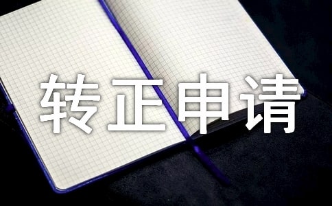 业务员转正申请书11篇