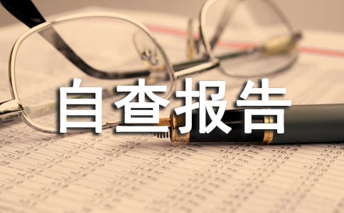 内部审计自查报告范文