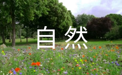 《红楼梦》自然环境描写的美学特征分析