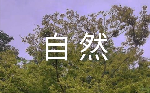 导致不能自然分娩的产科疾病有哪些