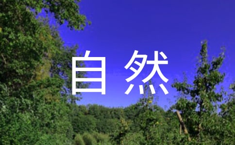 一切顺其自然的说说