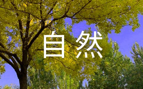 �߽�����Ȼ������˵˵