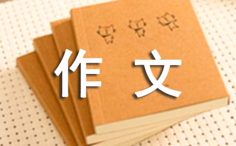 浅谈文化作文