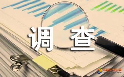 初中政治调查报告格式