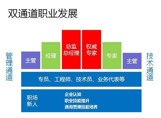 宝世达集团的职业发展方向是怎样的?